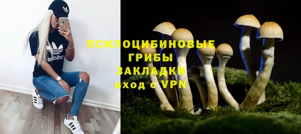 соль курить ск Алексеевка