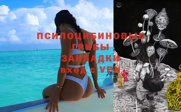 бошки Алзамай