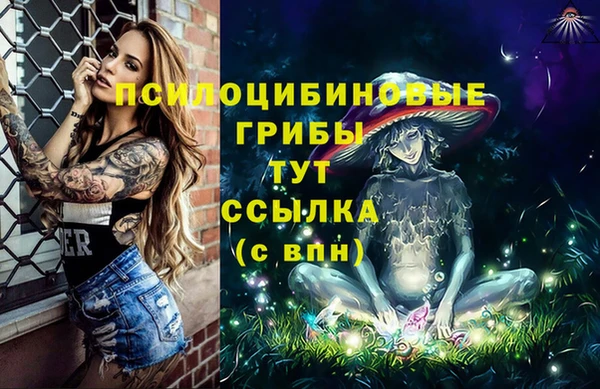 a pvp Абдулино
