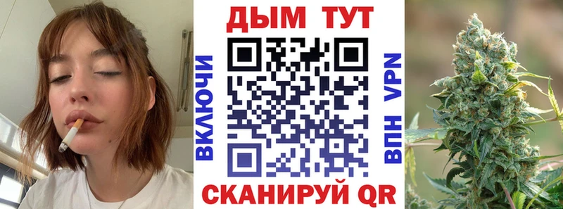магазин наркотиков Прокопьевск Бошки марихуана Bruce Banner